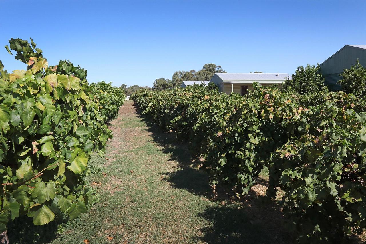 Swan Valley Sisters Henley Brook 외부 사진