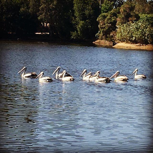 Swan Valley Sisters Henley Brook 외부 사진